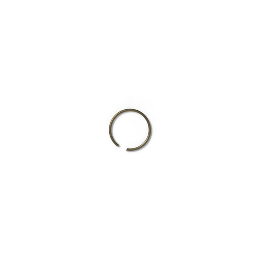 TWIN Retaining Ring 16x1 - Whittaker System