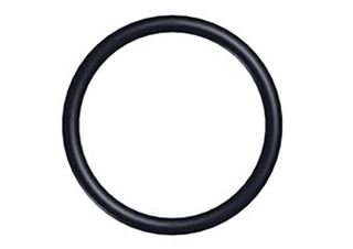 O RING 27 X 2.5 - Whittaker System